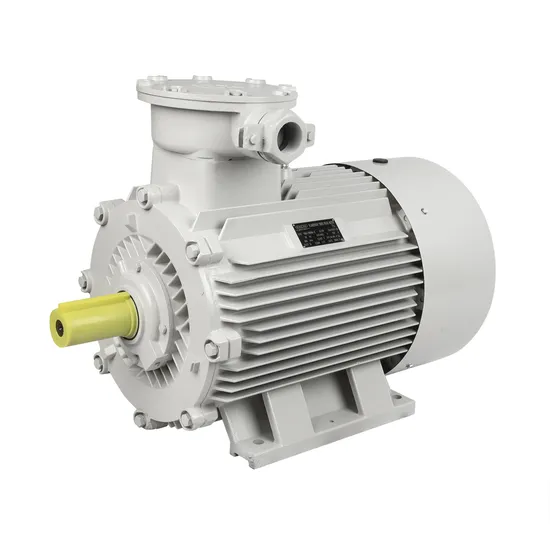 Explosion Proof Flameproof Asynchronous Synchronous AC DC Electrical Induction Electric Motor