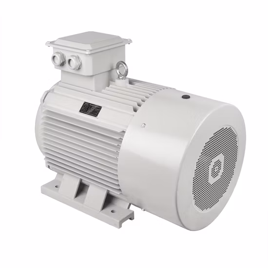 Explosion Proof Flameproof Asynchronous Synchronous AC DC Electrical Induction Electric Motor